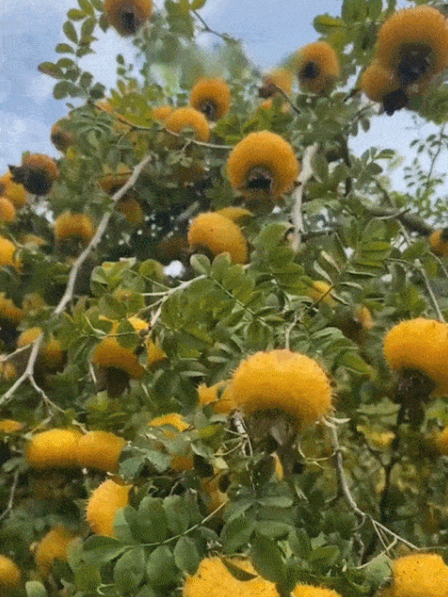 1762896945242116.png image.png