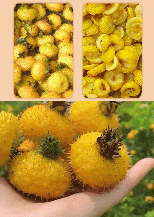 1762896958634297.png image.png