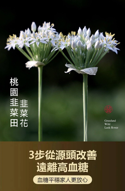 1763304462921559.png image.png